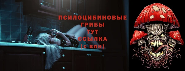 jwh Богородицк