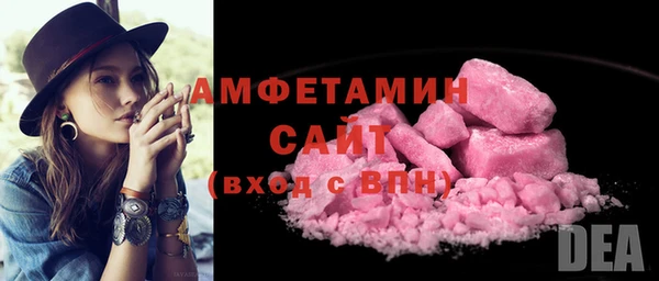 мдпв Богородск