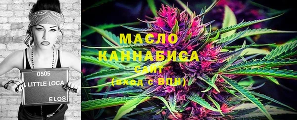 мдпв Богородск