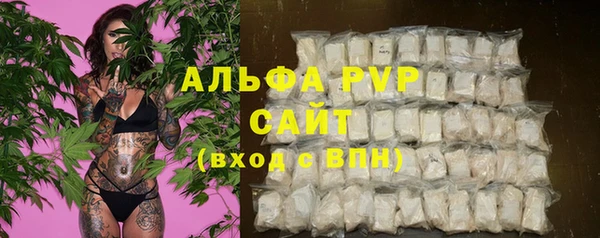 мдпв Богородск