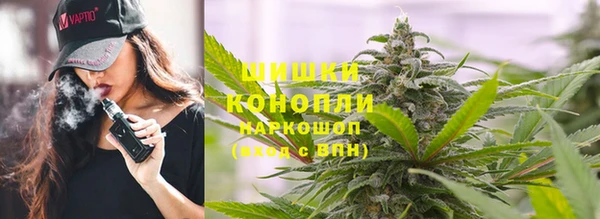 мдпв Богородск