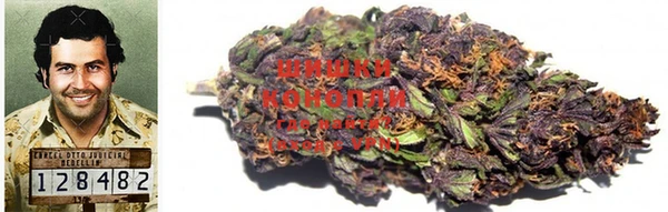 jwh Богородицк