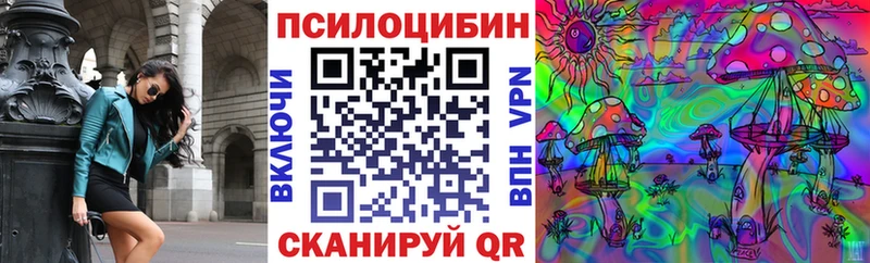 ссылка на мегу ссылки  Конаково  Галлюциногенные грибы Cubensis  купить  цена 